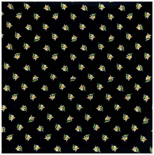 Bandana Head Wrap Scarf Edelweiss Black