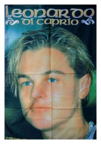 Leonardo Di Caprio Posterfahne