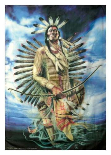 Indian Chief With Bow And Arrow Poster Flag