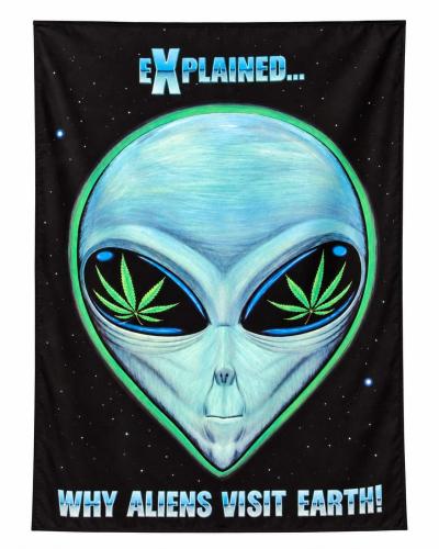 Grey Alien Cannabis Posterfahne mit Why Aliens Visit Earth Schriftzug