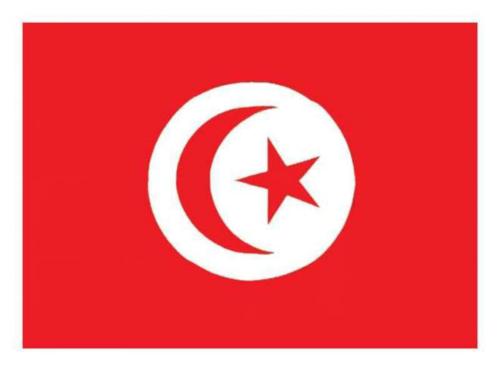 Tunesien Posterfahne