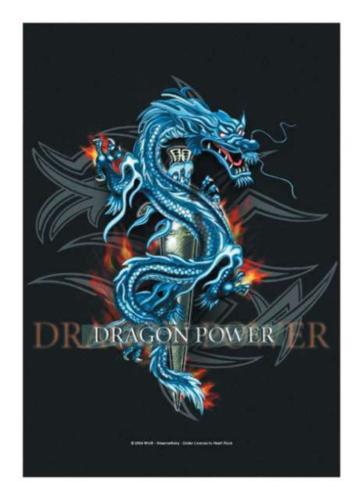 Dragon Power Posterfahne