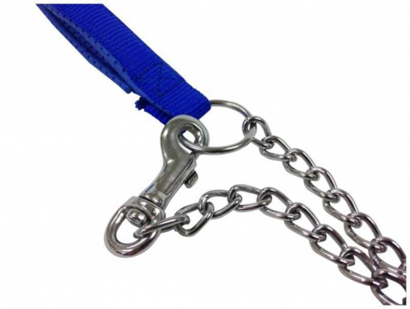 Bondage Leash