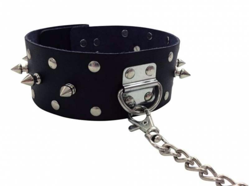 Leather Collar With Leash