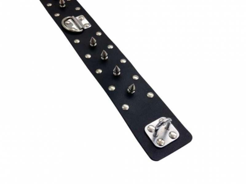 Leather Collar With Leash