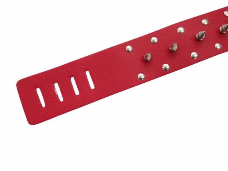 Red Leather Collar With Leash