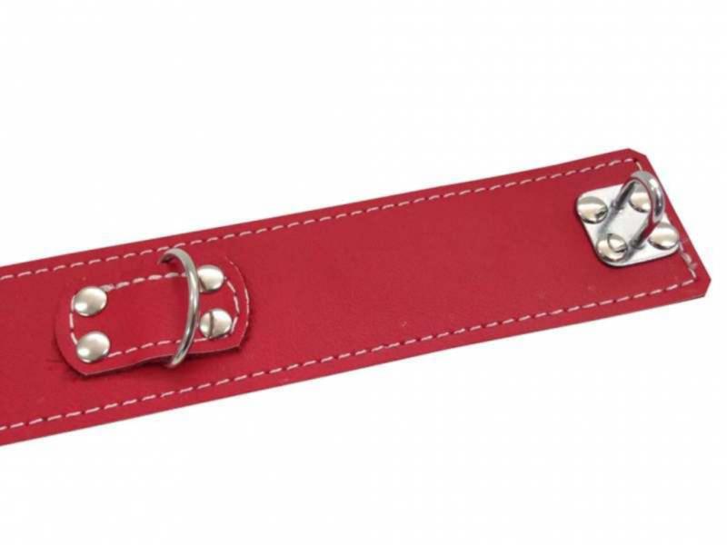 Red Leatherette Collar With Leash