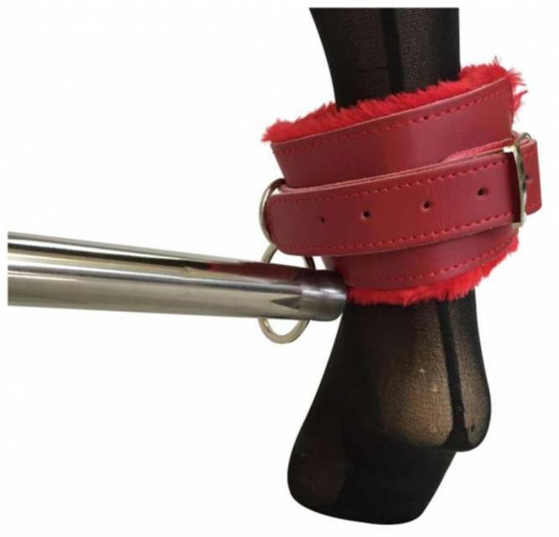 Ankle Bondage Set Red Leather Plush