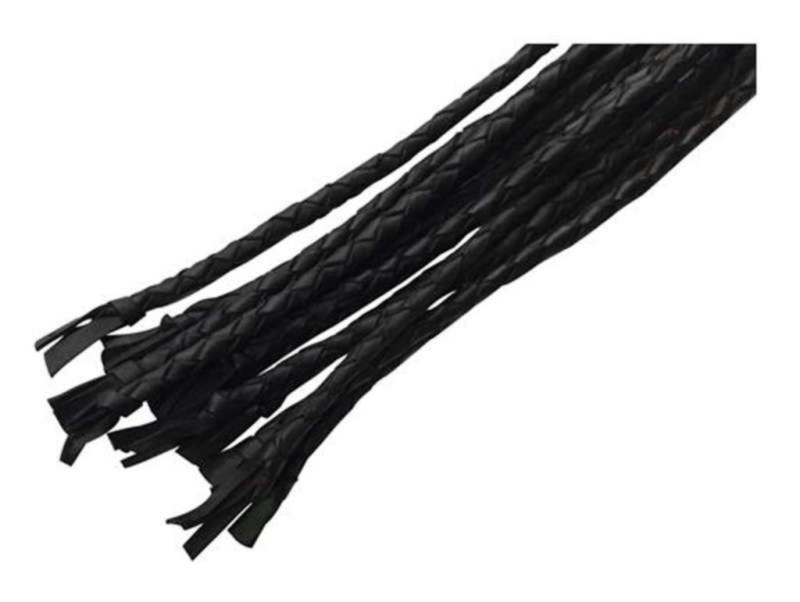 Lederflogger Mit 12 Riemen