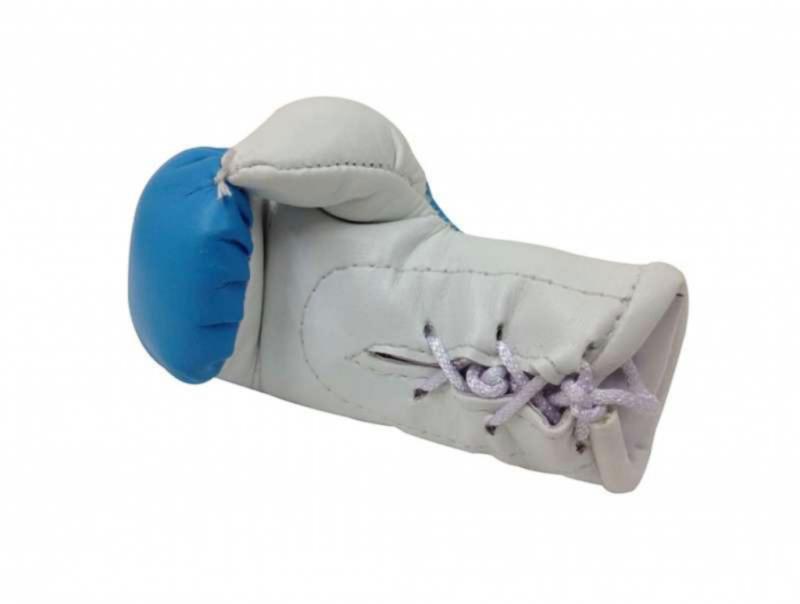Turkestan Mini Boxing Gloves