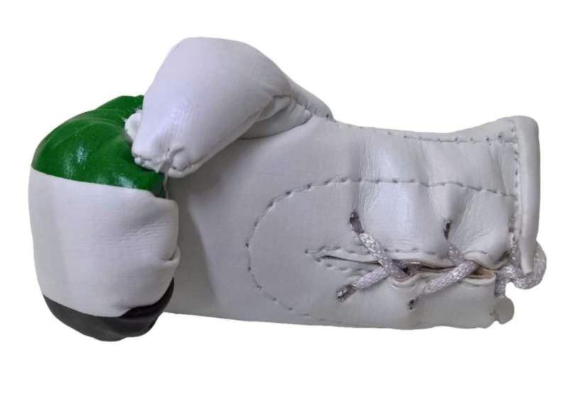 Syria Mini Boxing Gloves