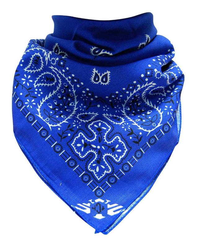 Blue XL Bandana