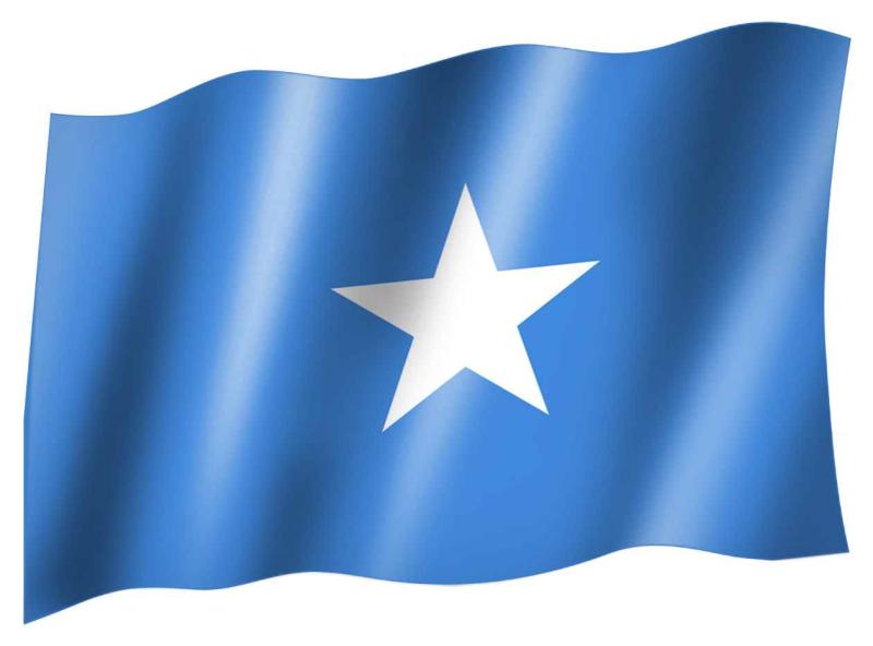 Fahne Somalia Flagge