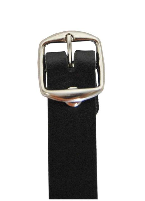 Nietenhalsband Mit Ring