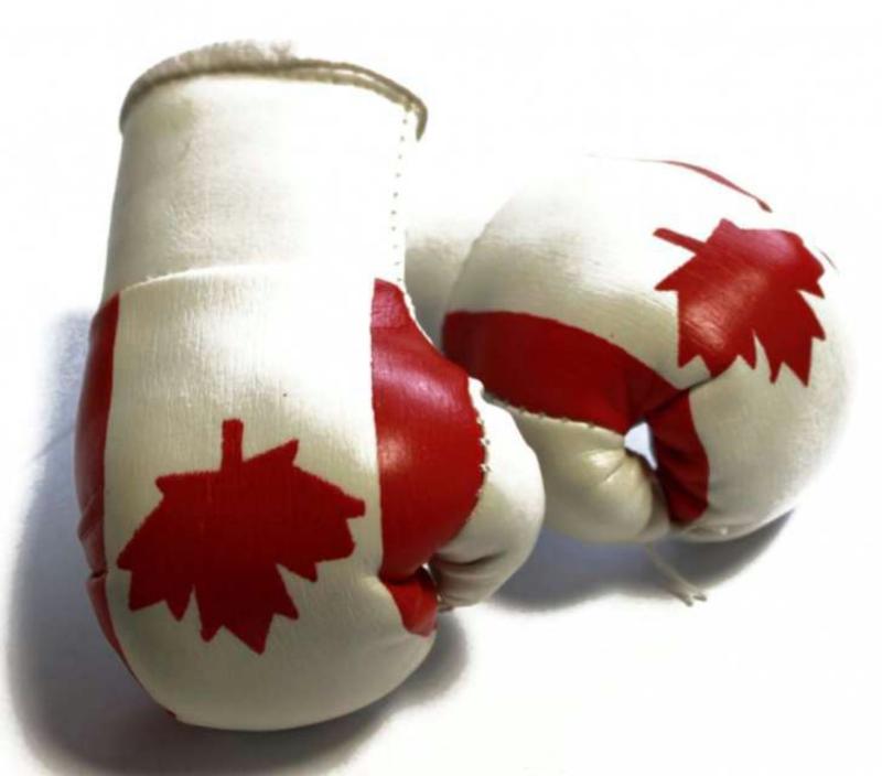 Mini Boxhandschuhe Kanada