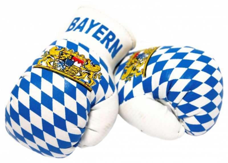 Bavaria Mini Boxing Gloves