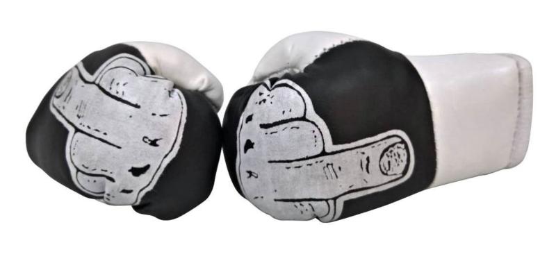 Mini Boxhandschuhe Stinkefinger