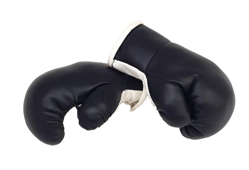 Mini Boxhandschuhe Schwarz Weiß