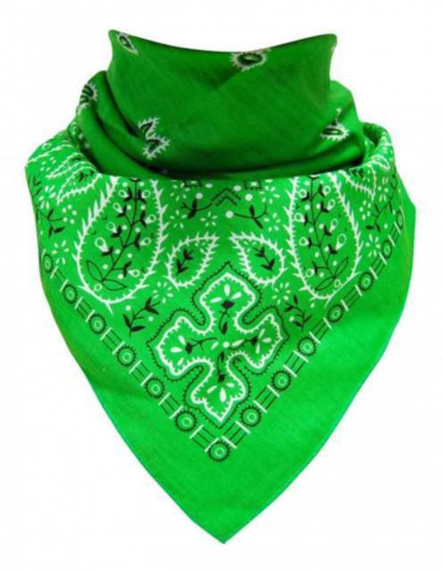 Rocker Bandana Paisley Pattern Green