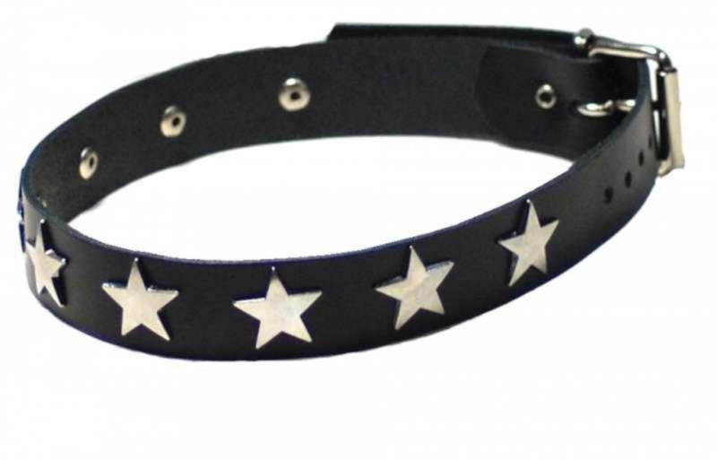 Gothic Halsband Sternnieten