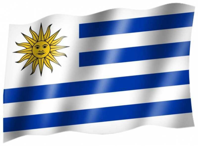Fahne Uruguay