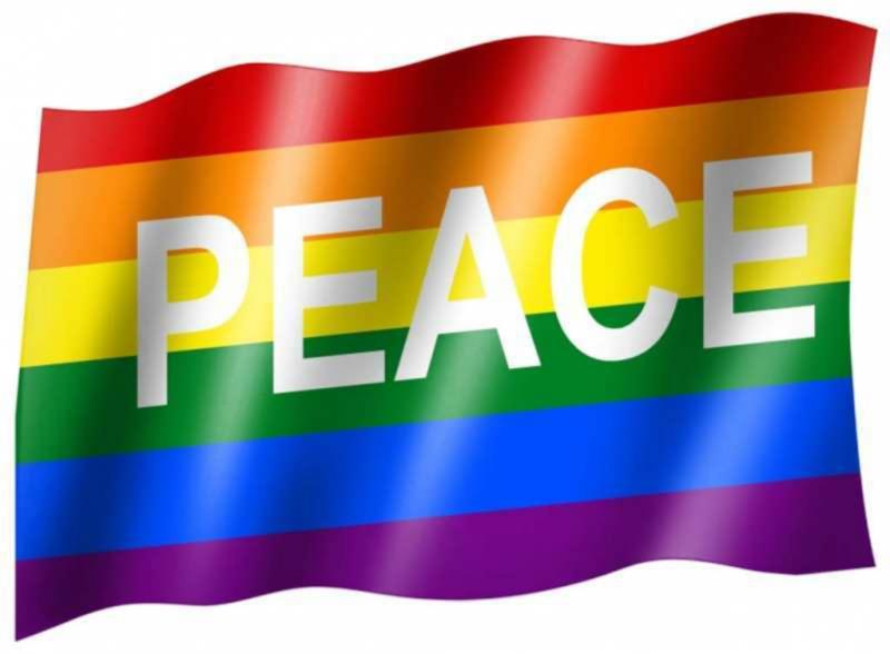 Fahne Peace