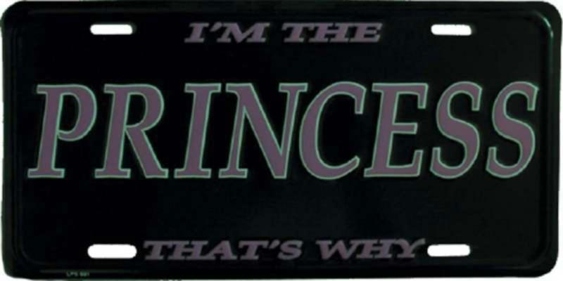 Blechschild Princess