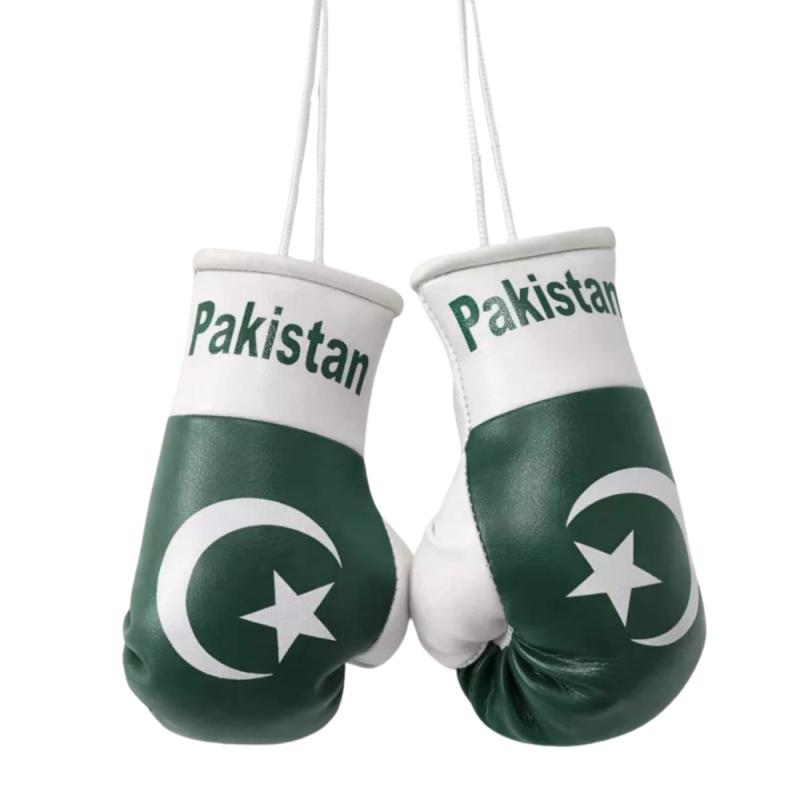 Pakistan Mini Boxhandschuhe Vorderseite