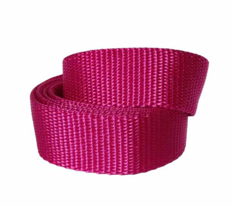 Canvas Gürtel Magenta