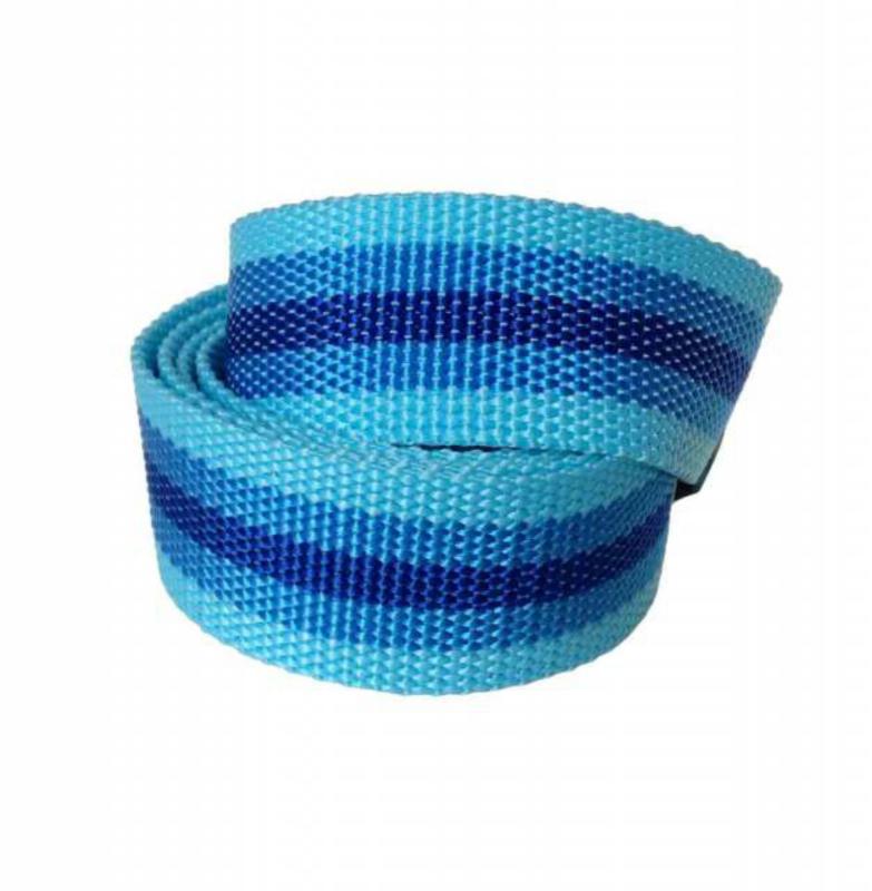 Light & Dark Blue Canvas Belt