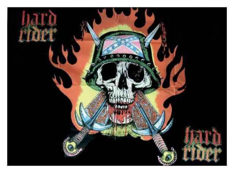 Südstaaten Hard Rider Posterfahne