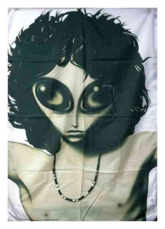 Jim Morrison Alien Posterfahne