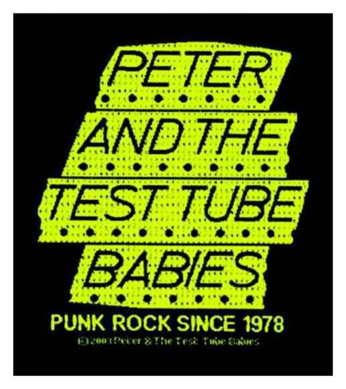 Patch Punk Rock Since 1978 Aufnäher