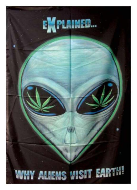 Cannabis Explained Why Aliens Visit Earth Posterfahne