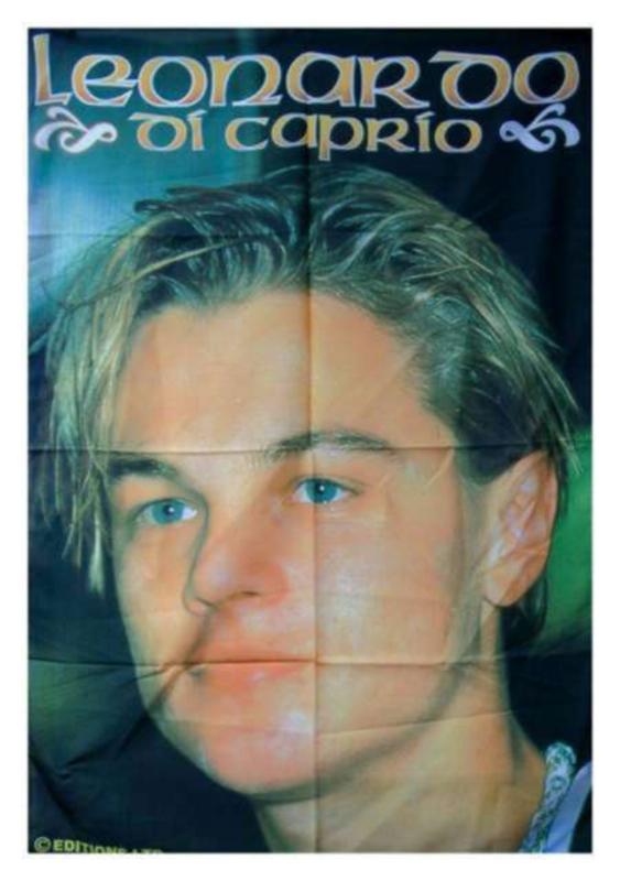 Leonardo Di Caprio Posterfahne