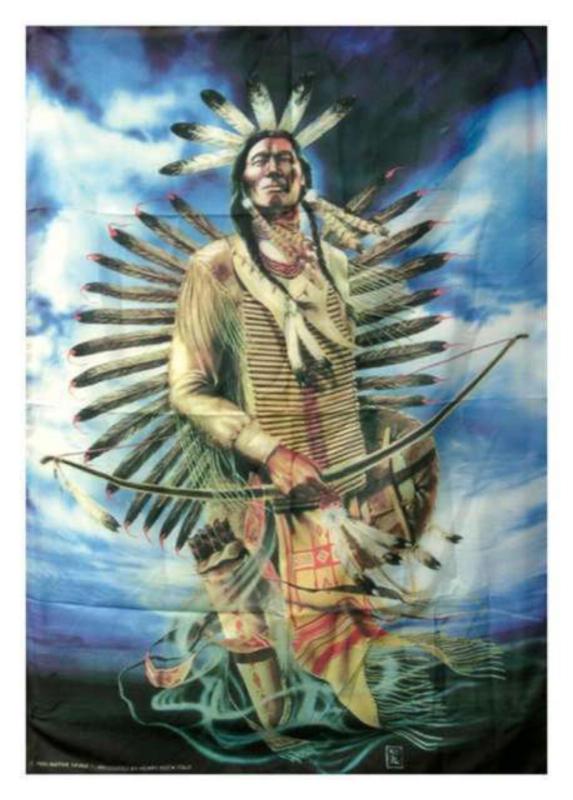 Indian Chief With Bow And Arrow Poster Flag