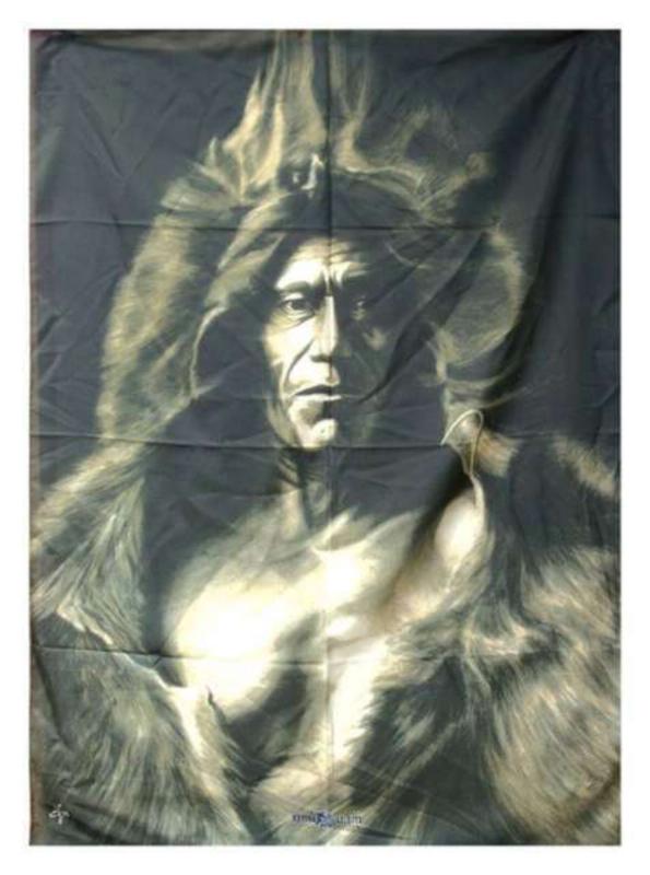 Vintage Native American Posterfahne