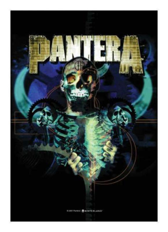Pantera Posterfahne