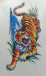 Tiger Tattoo