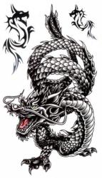 Fun Tattoo Drache