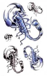 Fun Tattoo Skorpion