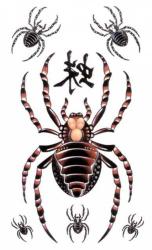Temporäres Tattoo Spinne