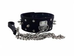Leather Collar With Leash