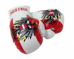 Austria Mini Boxing Gloves