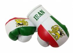 Iran Mini Boxing Gloves
