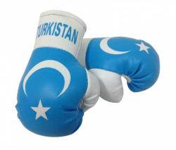 Turkestan Mini Boxing Gloves