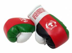 Afghanistan Mini Boxing Gloves