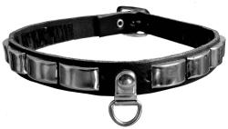 Nietenhalsband Mit Ring