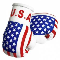 Mini Boxhandschuhe USA