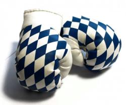 Mini Boxing Gloves Bavaria